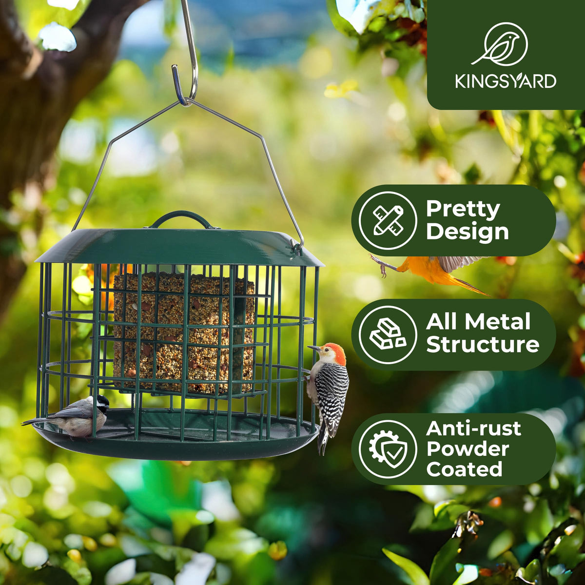 Kingsyard double suet cake capacity ideal for busy backyard birds.