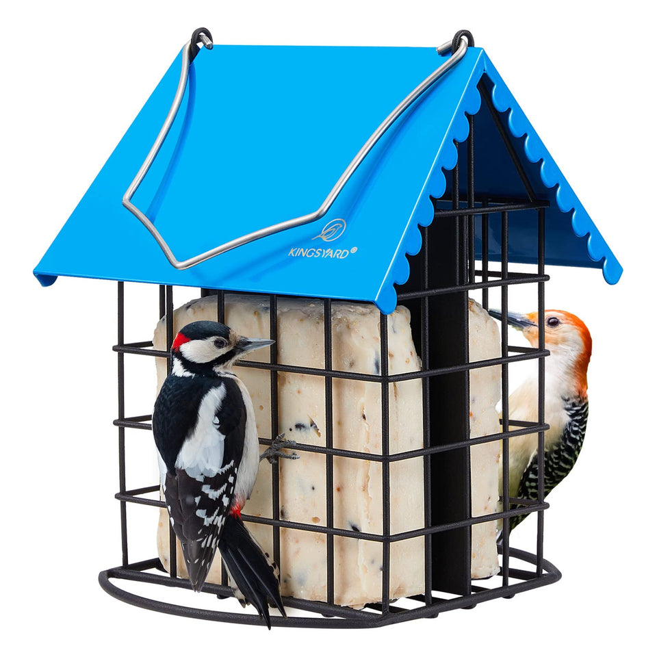Kingsyard double suet feeder with weatherproof roof protects suet outdoors