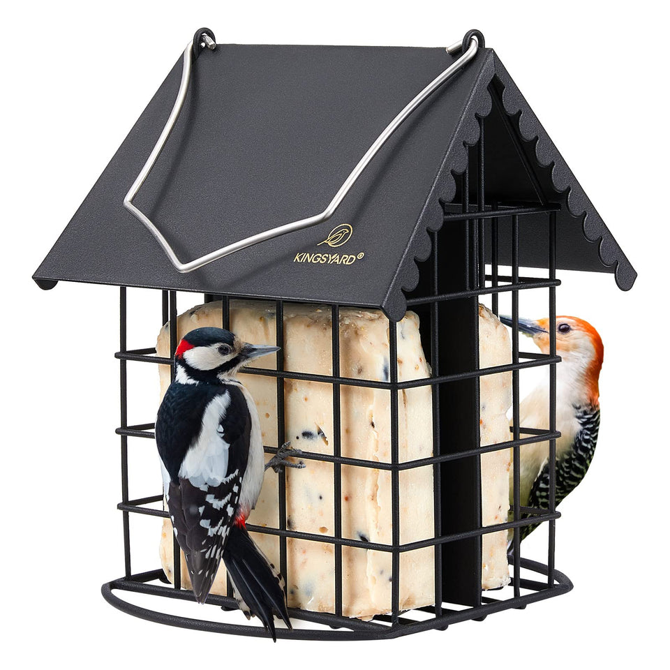 Kingsyard double suet feeder with weatherproof roof for year-round feeding.