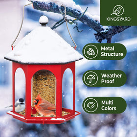 Kingsyard drainage tray prevents water buildup around seeds.