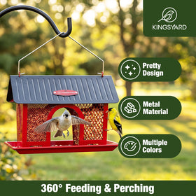Kingsyard dual-seed compartments for varied bird species, reducing feeding conflicts.
