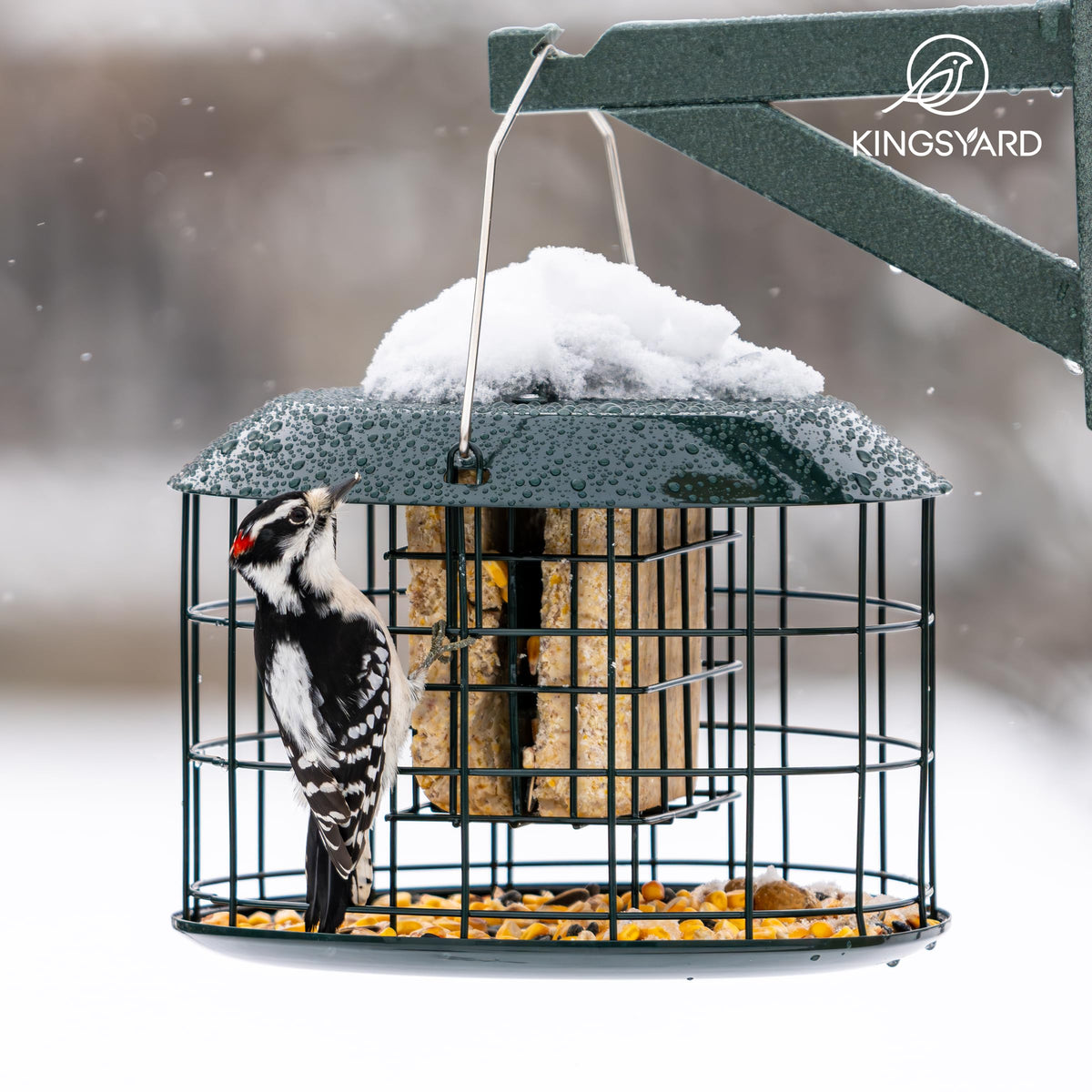 Kingsyard ideal gift for bird lovers and families.