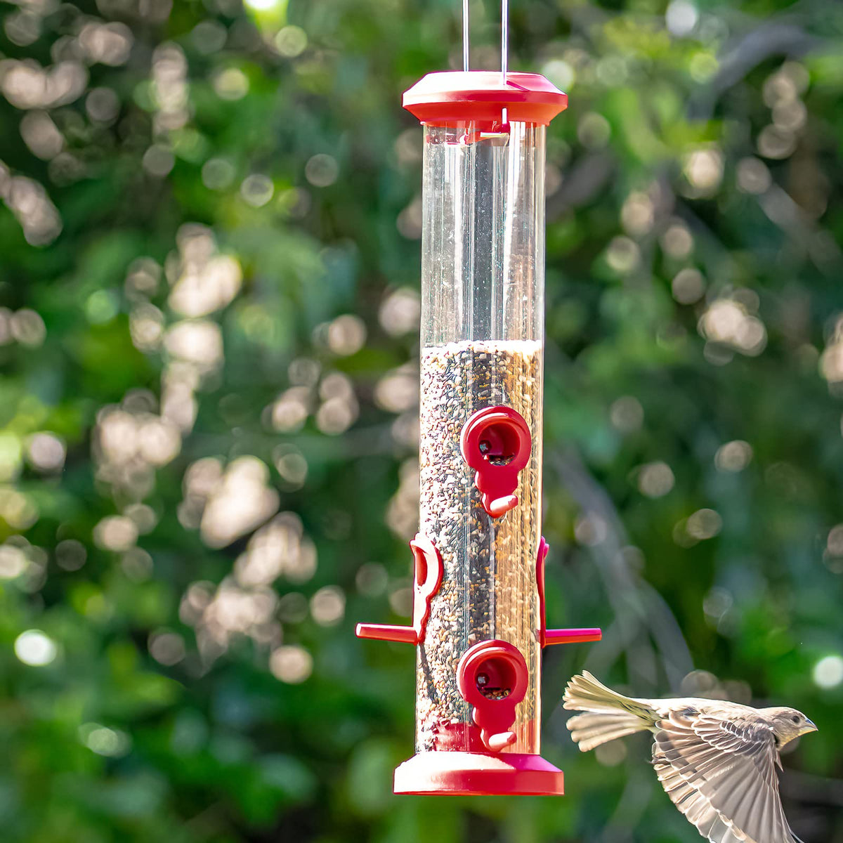 Kingsyard bird feeder makes a thoughtful gift for nature lovers.