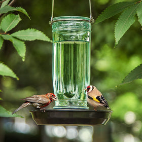 Kingsyard garden display image features bird-friendly water source in yard.