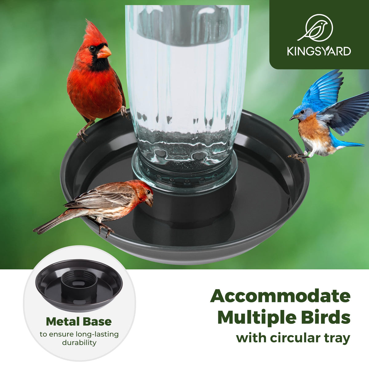 Kingsyard glass bird feeder top view highlights wide-mouth bottle for easy refills.
