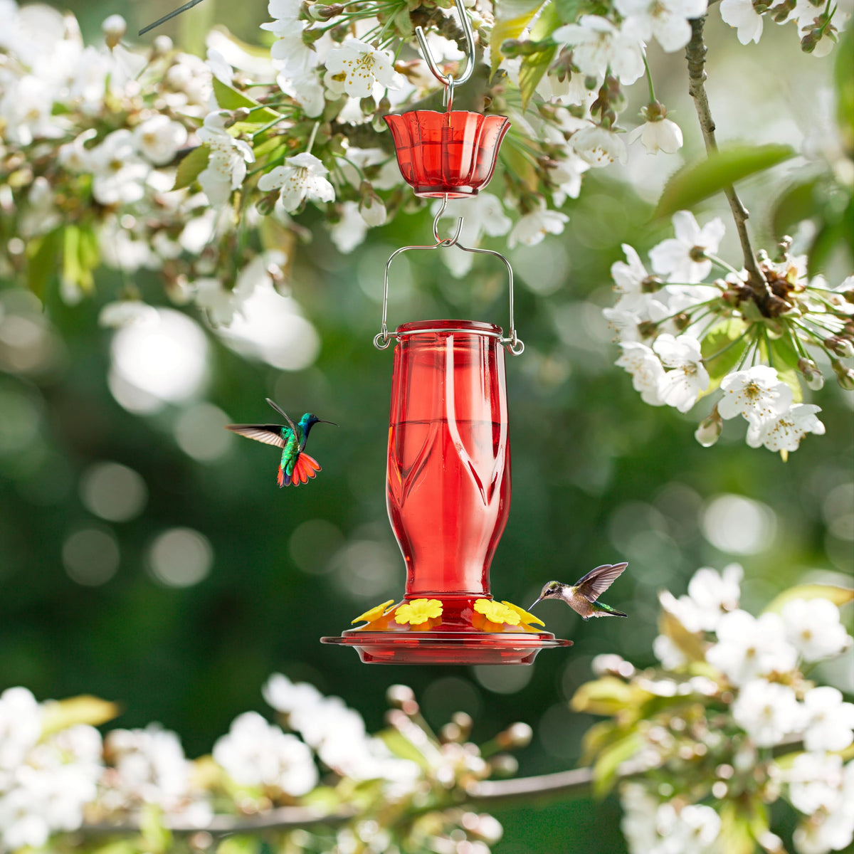Kingsyard glass hummingbird feeder with six ports invites multiple birds to feed.