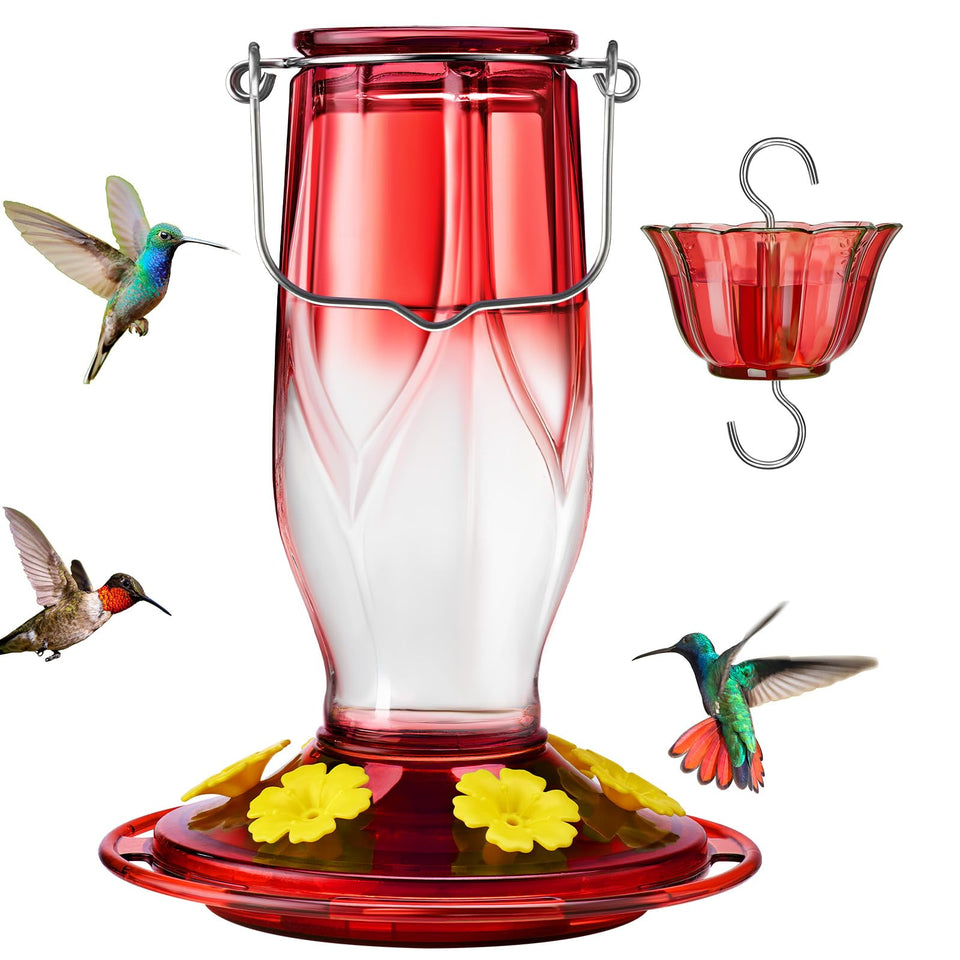 Kingsyard glass hummingbird feeder with red bottle adds vibrant color to your garden and attracts birds.