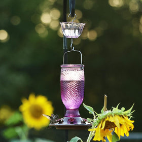 Kingsyard wide-mouth bottle design for quick filling and easier cleaning