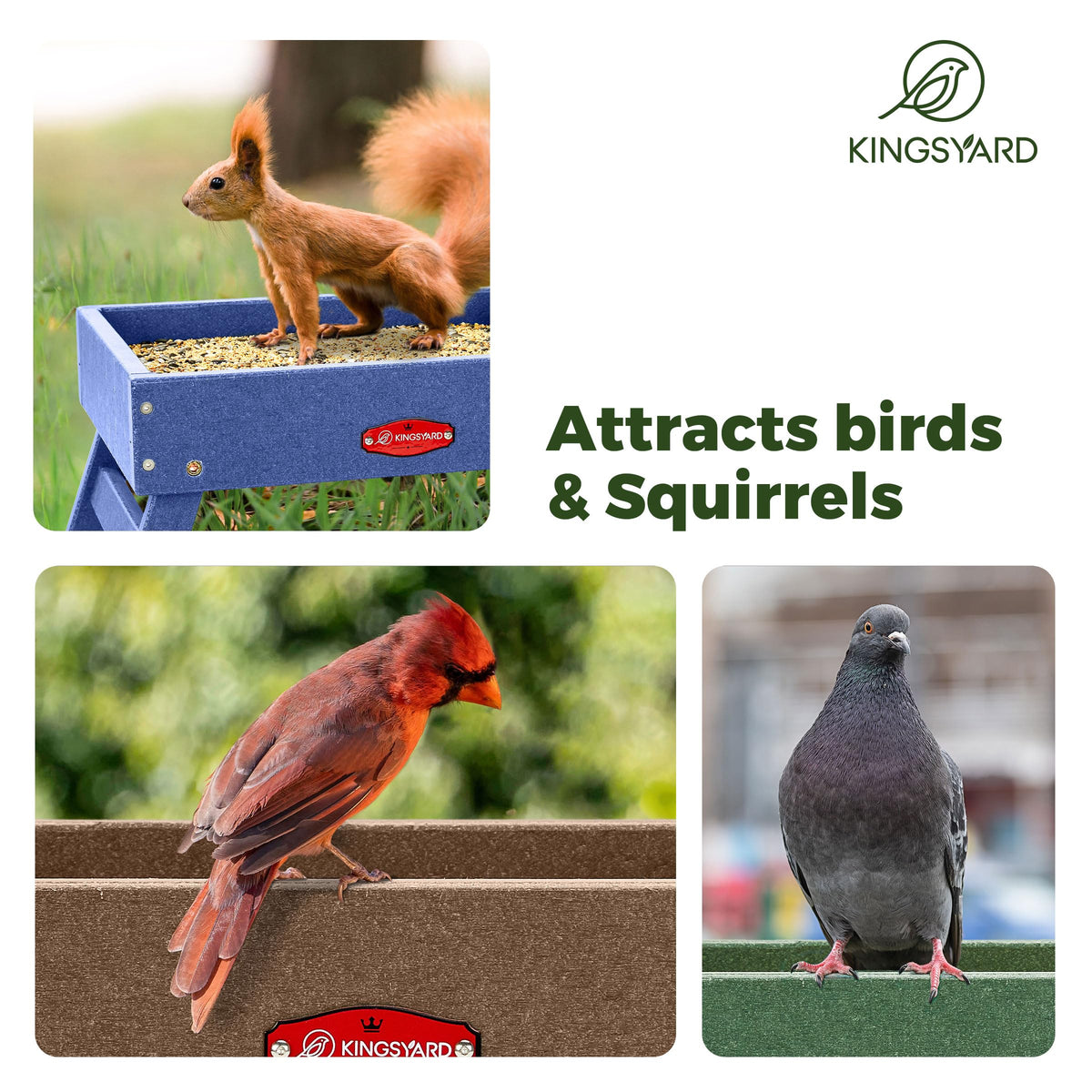 Kingsyard ground bird feeder dry-seeds: excellent drainage keeps seeds fresh and dry