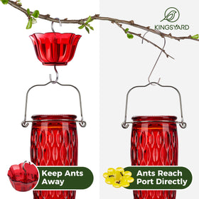 Kingsyard hummingbird feeder six bee guard ports protect nectar while birds feed.