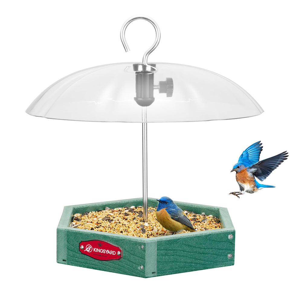 Kingsyard large platform bird feeder dome offers a sturdy feeding area for backyard birds.