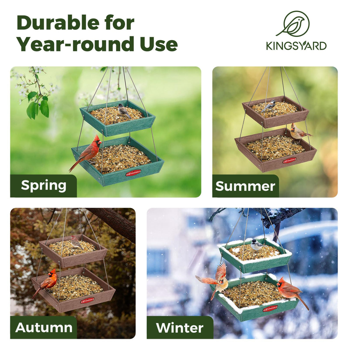 Kingsyard mealworm and seed tray providing varied feeding options