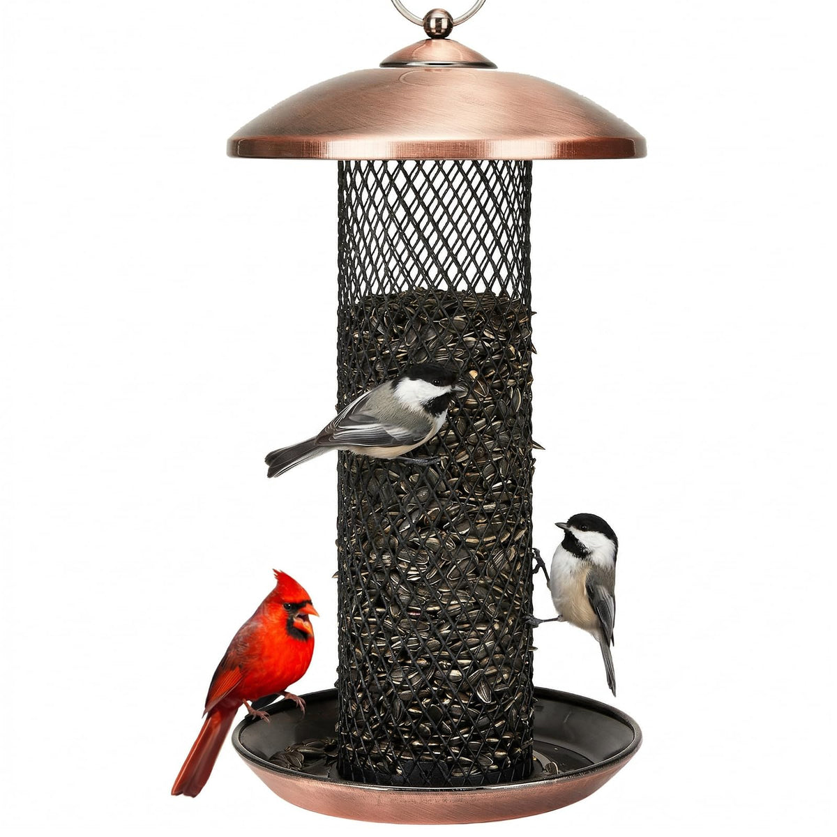Kingsyard mesh tube bird feeder outdoors, durable metal for squirrel resistance.