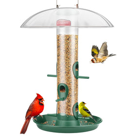 Kingsyard metal bird feeder with dome shielding birds from rain