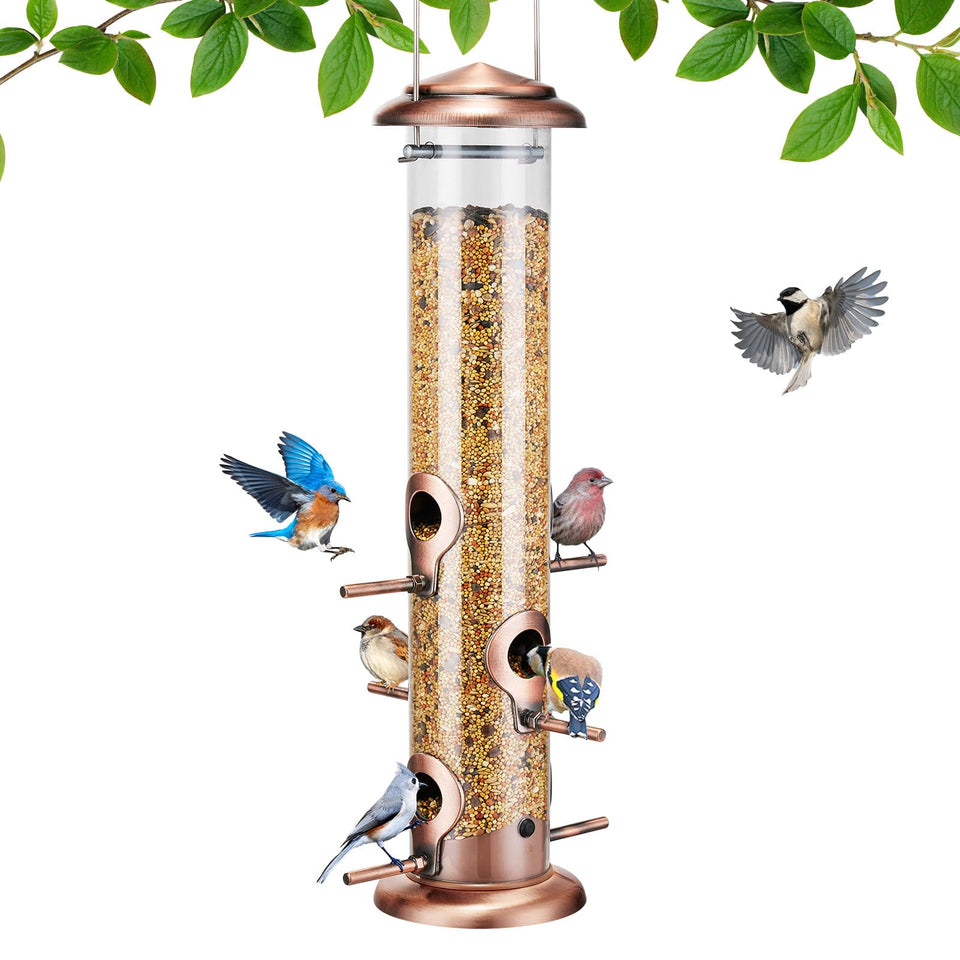 Kingsyard metal bird feeder outdoors hanging attracts small songbirds for close viewing