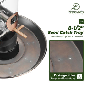 Kingsyard 3 lb seed capacity supports longer feeding between refills
