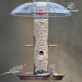 Kingsyard ideal for window-side placement to enjoy wildlife