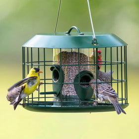 Metal cage bird feeder with roof designed to protect seeds from weather
