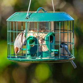 One-and-a-half-pound capacity Kingsyard feeder suitable for mixed seeds