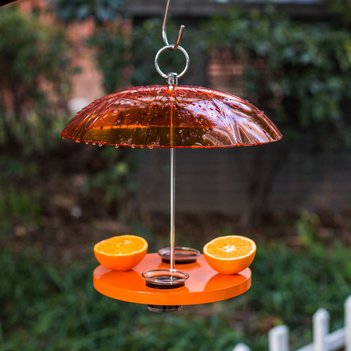 Kingsyard Oriole Feeder ideal for outdoor garden placement