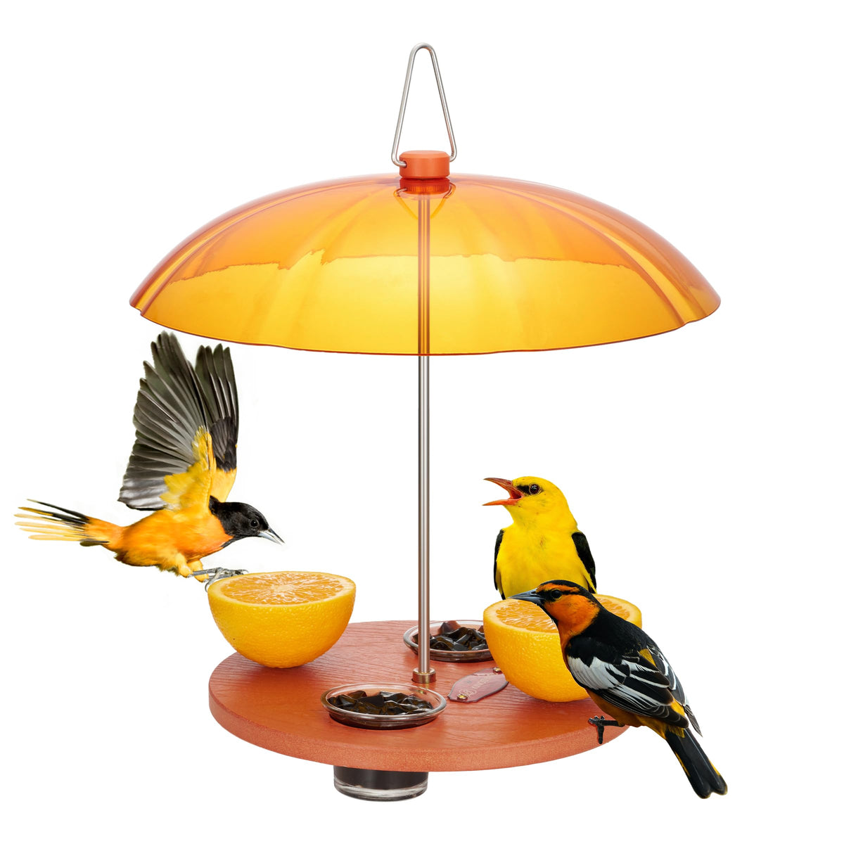 Kingsyard Oriole Feeder with weather dome for year-round birds