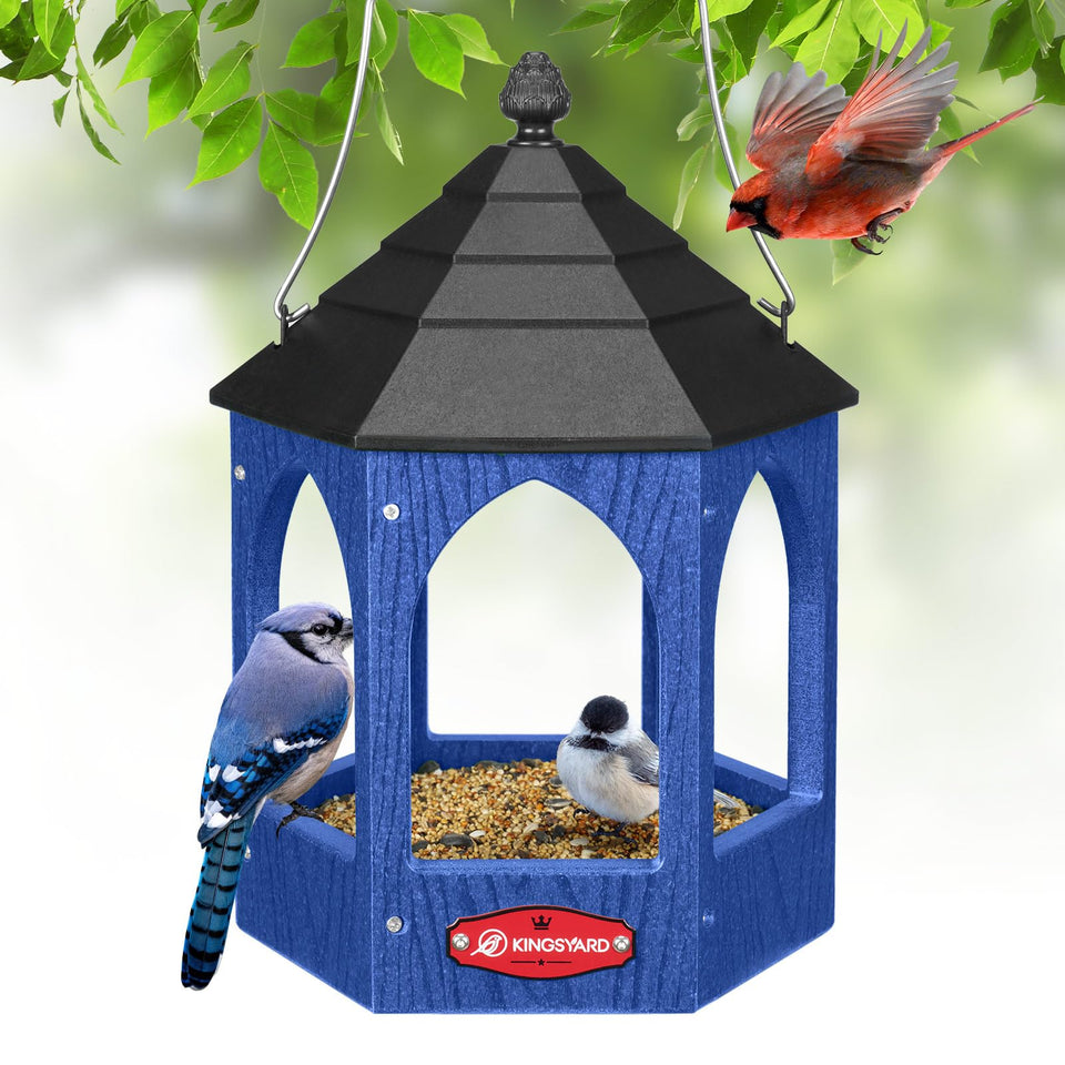 Kingsyard Platform Bird Feeder gazebo-style blue invites diverse backyard birds