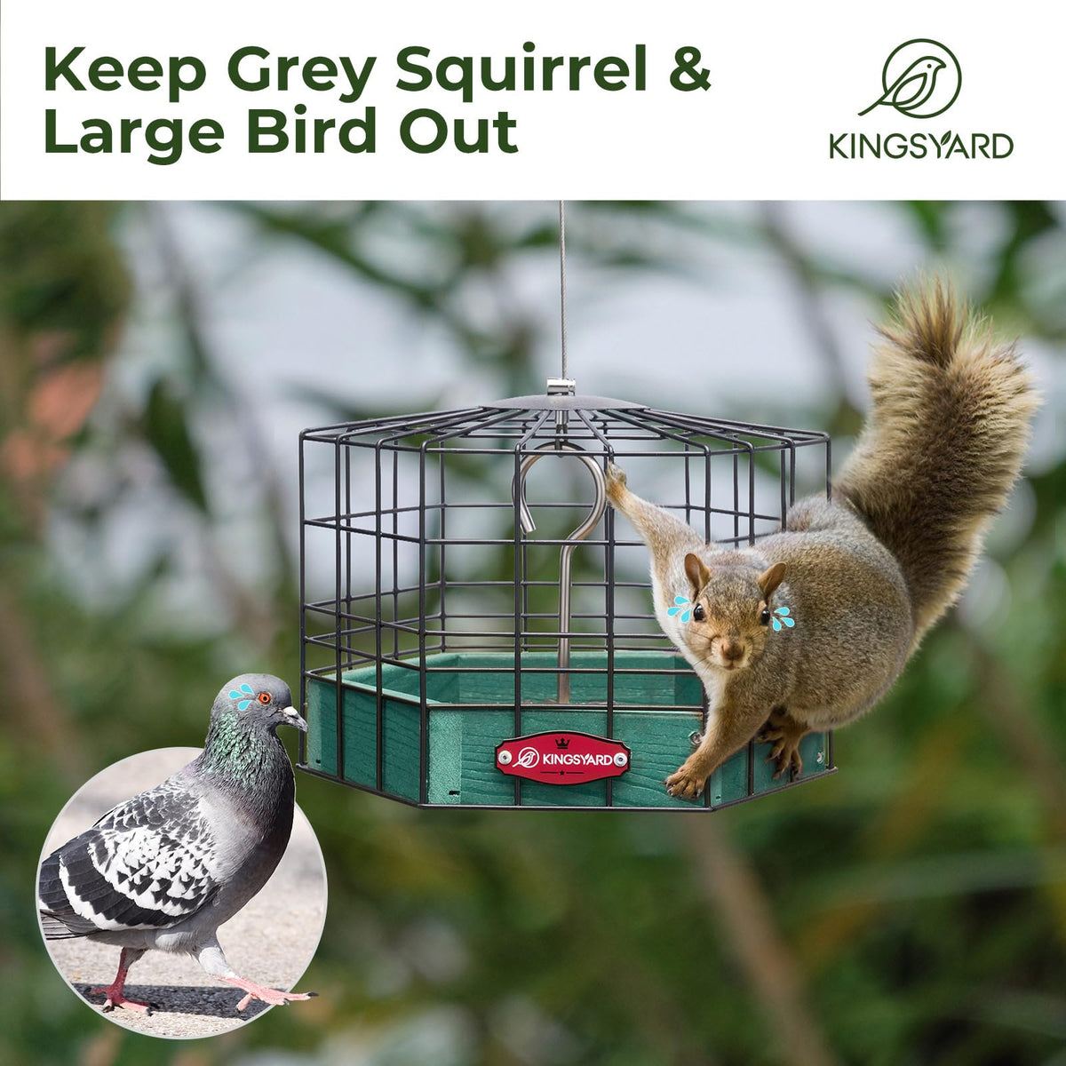 Kingsyard Platform Feeder, birds on branch, easy access for small species.