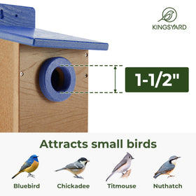 Kingsyard predator guard around entrance helps protect young birds from threats.