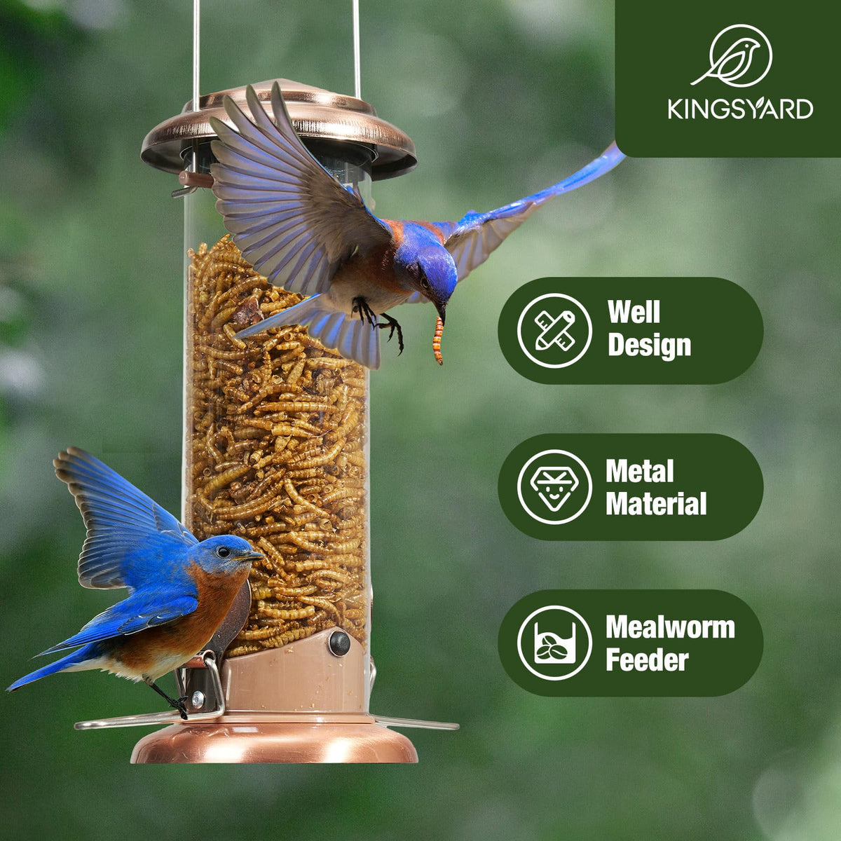Kingsyard feeder features protective coating and drainage holes for weather resilience.