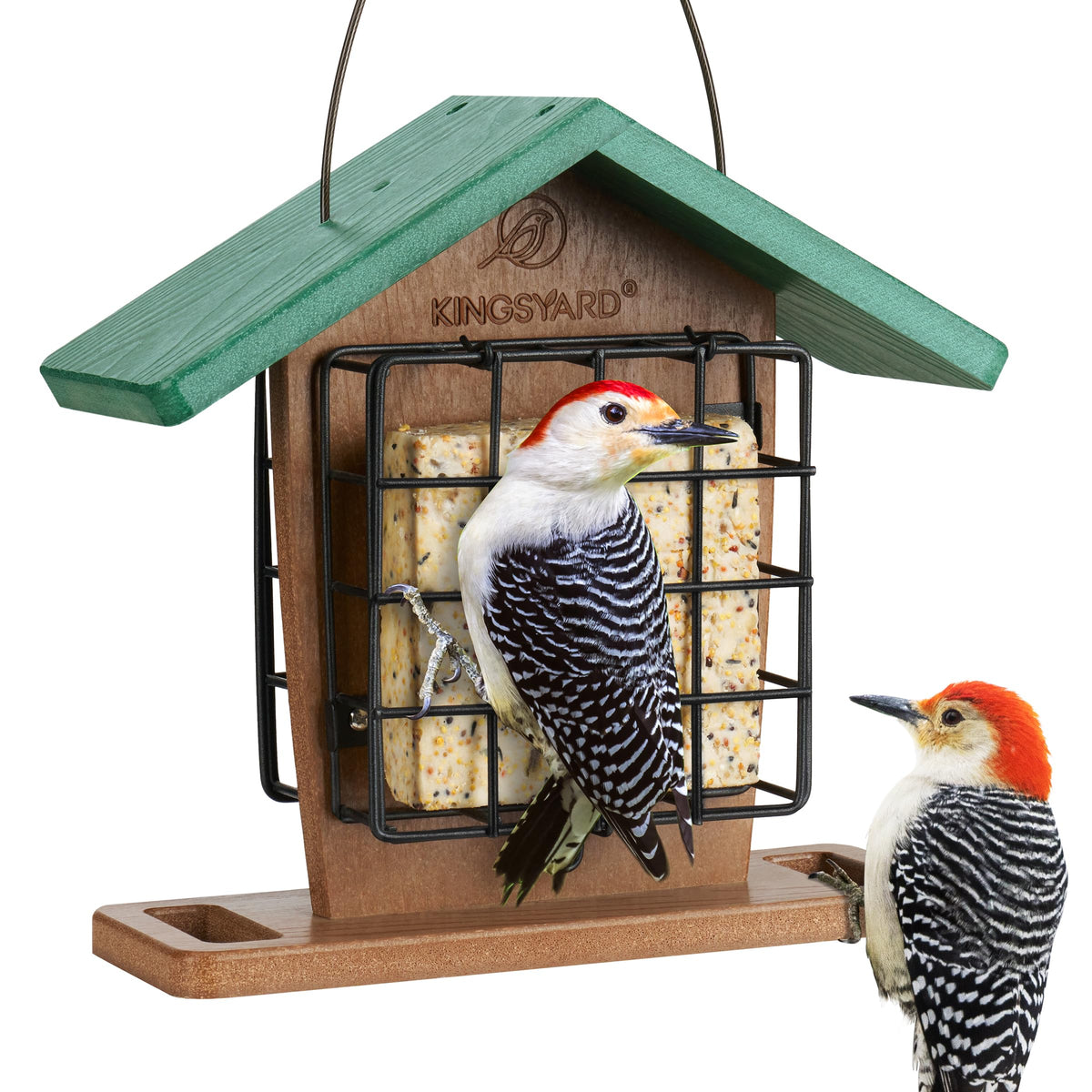 Kingsyard double suet feeder with rainproof roof in a garden for year-round bird watching.