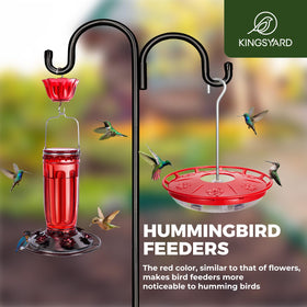 Kingsyard saucer hummingbird feeder gift idea for bird lovers and families.
