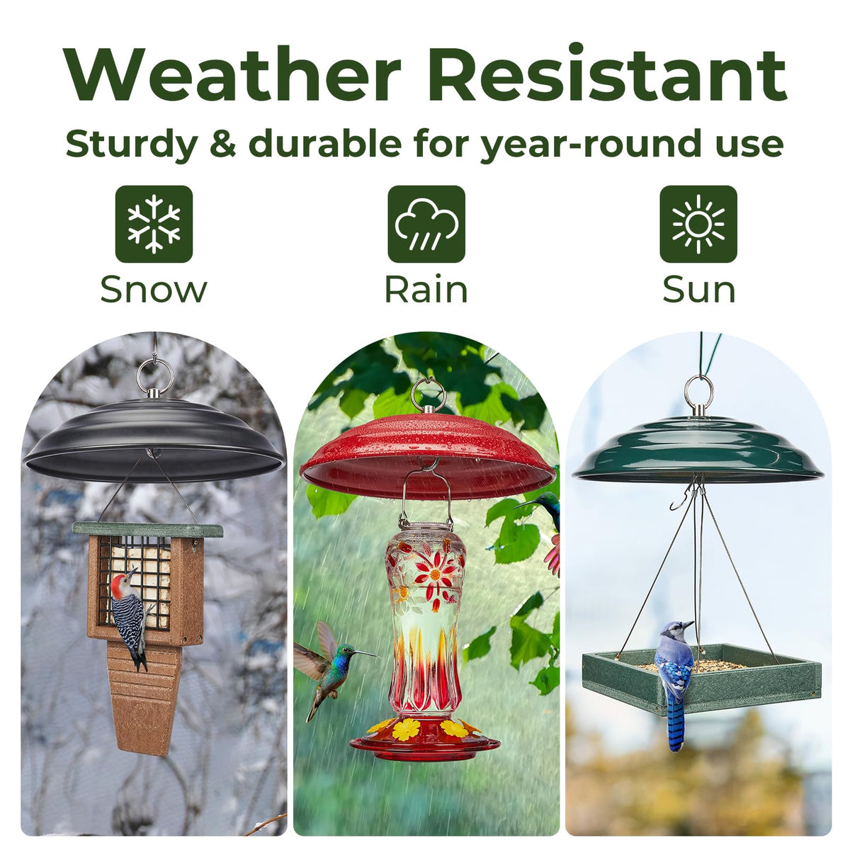Kingsyard weather dome keeps seed dry during wet weather.