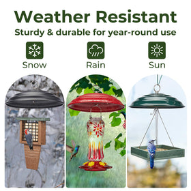 Kingsyard weather dome keeps seed dry during wet weather.
