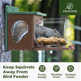 Kingsyard storage jar shows peanuts and corn for wildlife snacks