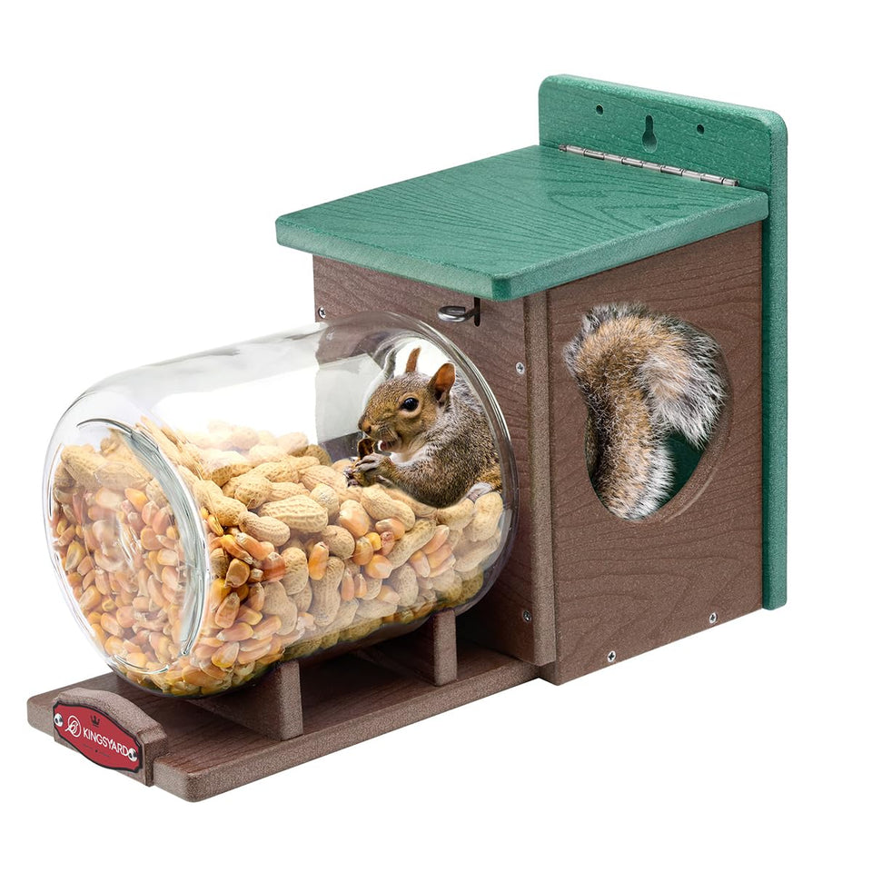 Kingsyard Squirrel Feeder mounted on a tree for year round backyard viewing