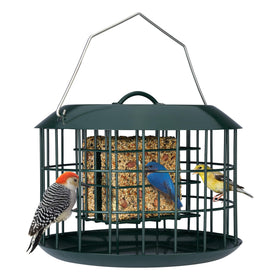Kingsyard squirrel-proof cage keeps suet safe while small birds feed.