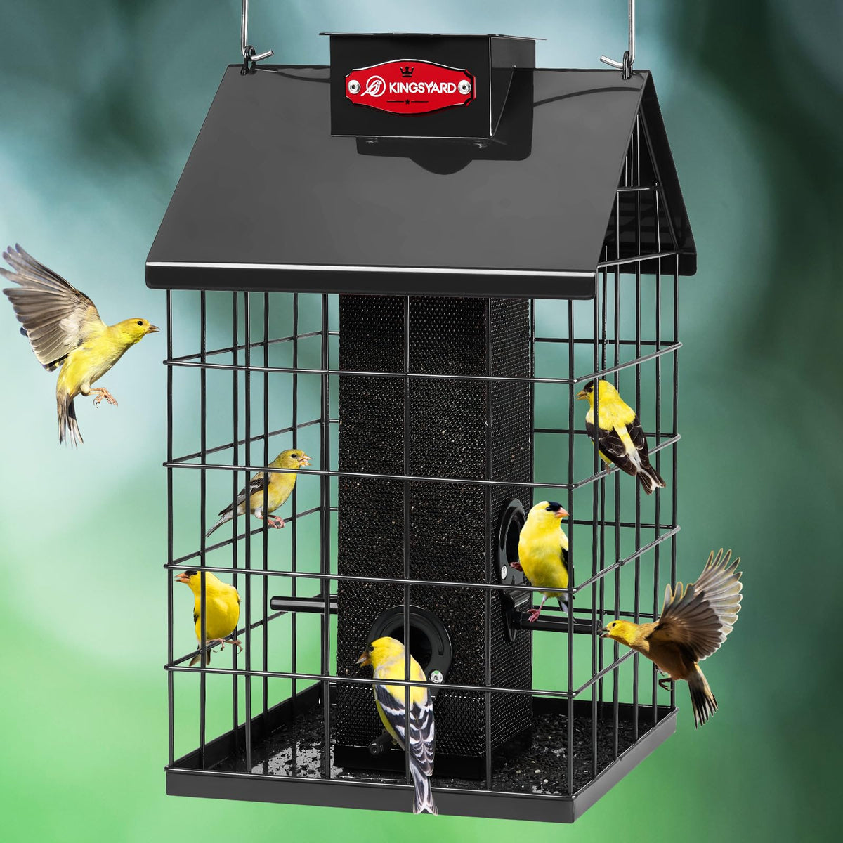 Kingsyard squirrel-proof caged feeder outdoors keeps large pests out while small birds feed
