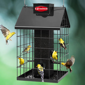 Kingsyard squirrel-proof caged feeder outdoors keeps large pests out while small birds feed