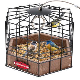 Kingsyard Squirrel-Proof Platform Bird Feeder brown with protective mesh cage deterring large visitors.