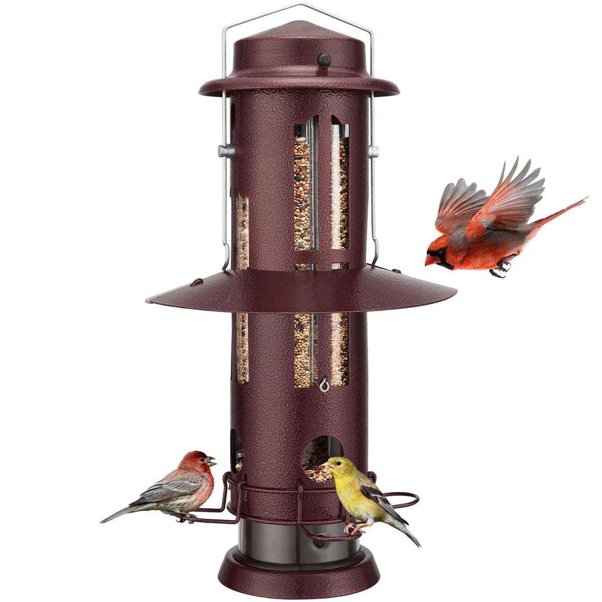 Kingsyard Squirrel-Proof Feeder with weight-activated perch deters pests