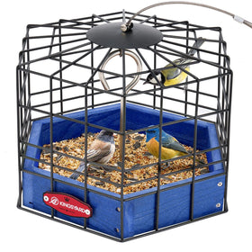 Kingsyard squirrel-proof platform feeder front view showing secure metal mesh.