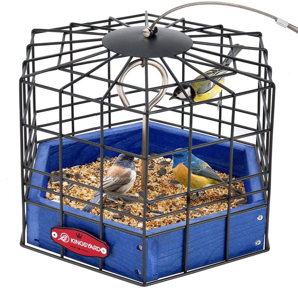 Kingsyard squirrel-proof platform feeder front view showing secure metal mesh.