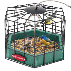Kingsyard Squirrel-Proof Platform Feeder, front view, keeps larger pests out while small birds feed.