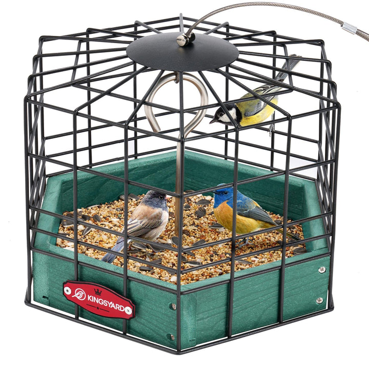 Kingsyard Squirrel-Proof Platform Feeder, front view, keeps larger pests out while small birds feed.