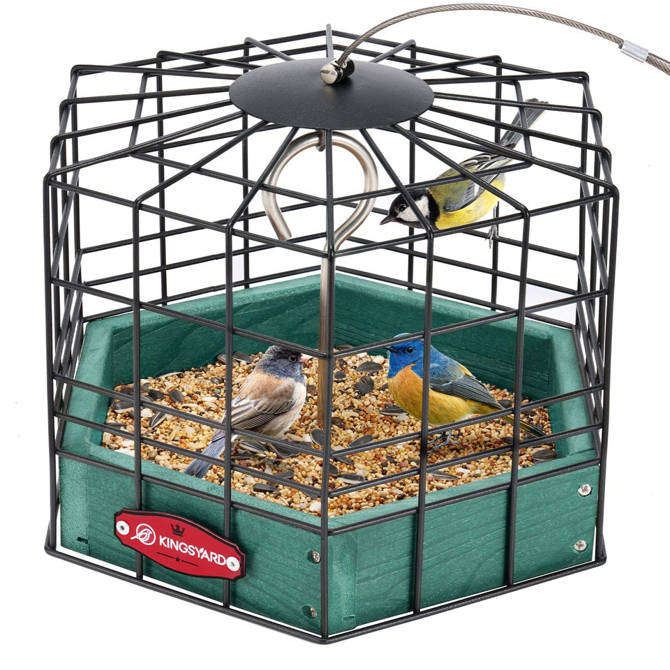 Kingsyard Squirrel-Proof Platform Feeder, front view, keeps larger pests out while small birds feed.