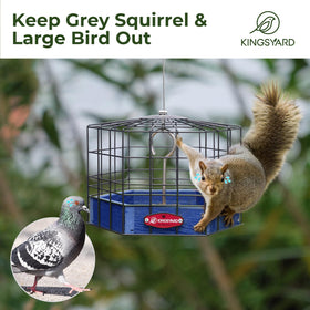 Kingsyard squirrel-proof platform feeder tray close-up showing ventilated metal mesh.