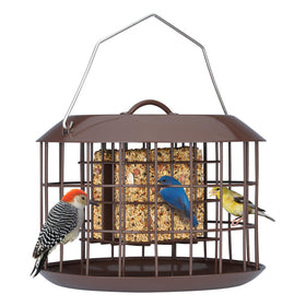 Kingsyard squirrel-proof suet feeder front view with protective cage attracts songbirds safely.