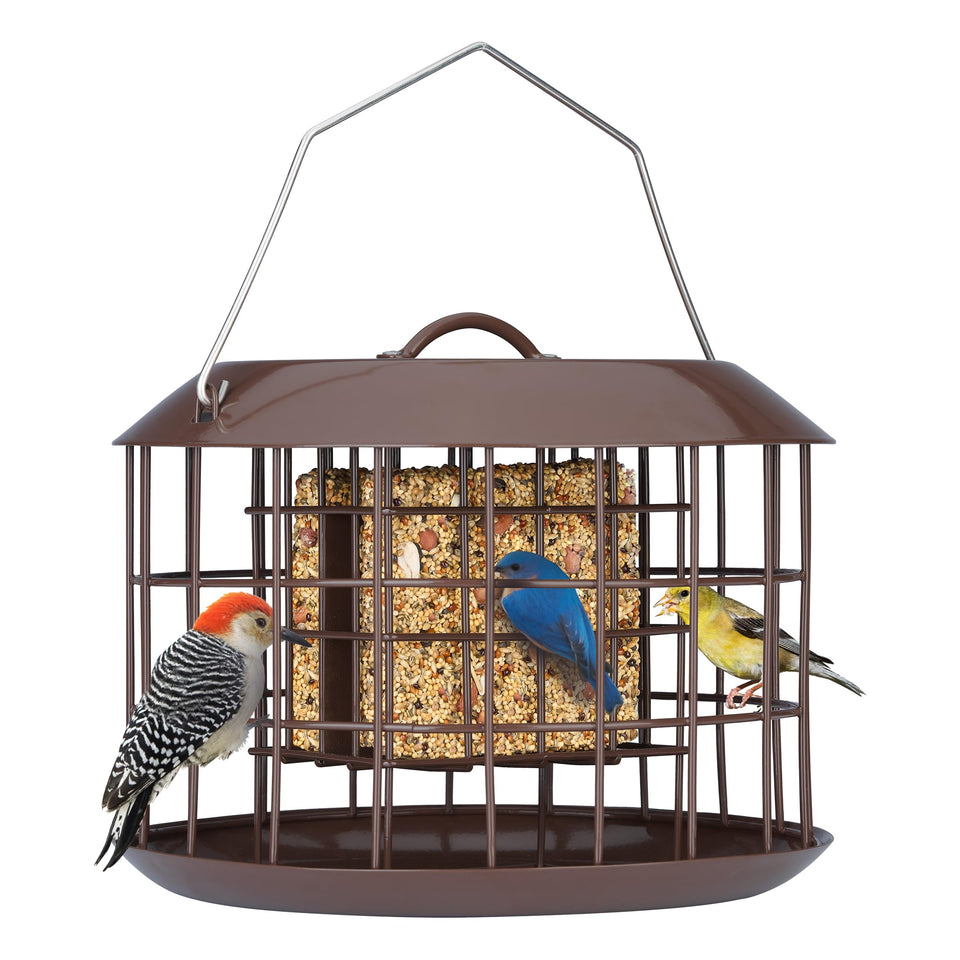 Kingsyard squirrel-proof suet feeder front view with protective cage attracts songbirds safely.