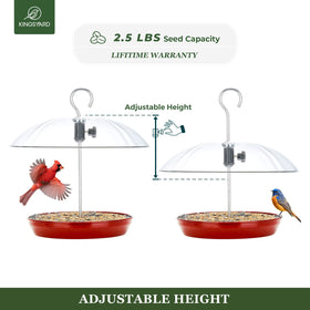 Kingsyard squirrel-resistant top design prevents nibbling while birds feed