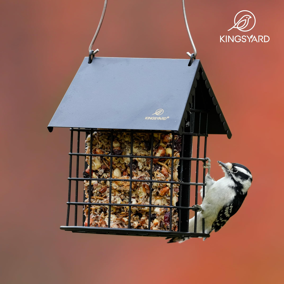Kingsyard Double Suet Feeder makes a thoughtful gift for bird lovers.